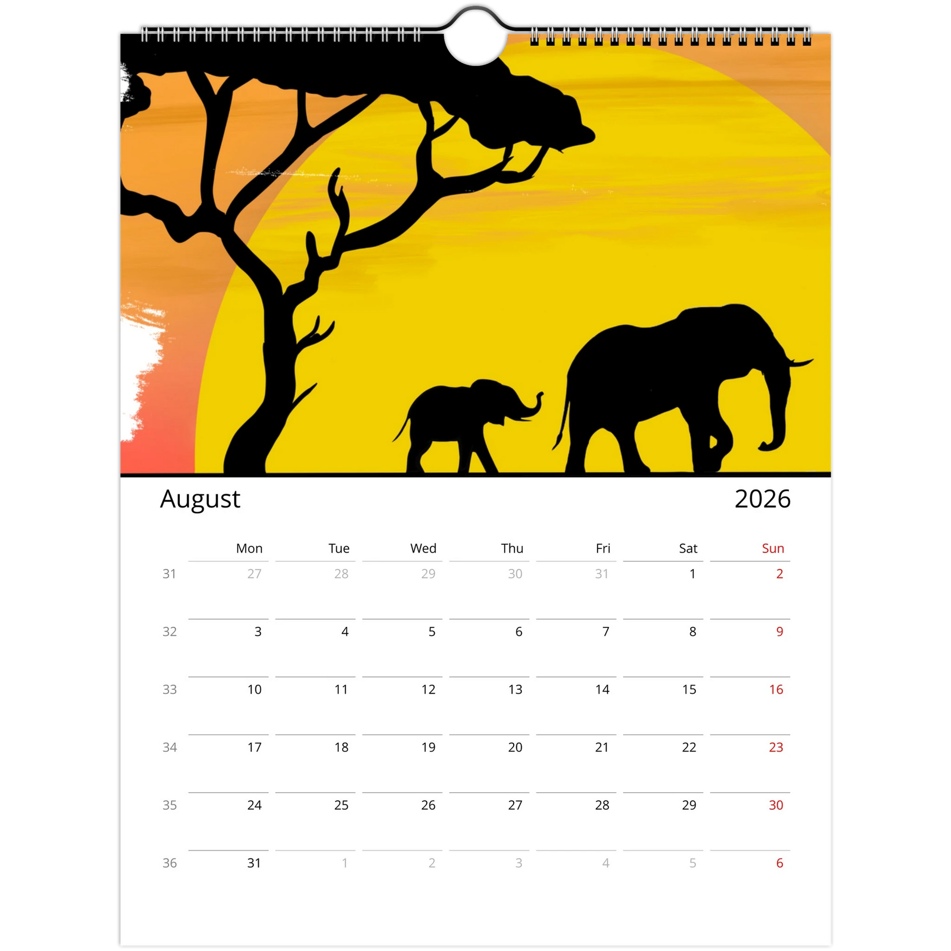 d24f7825-d1ff-4eb1-8ca5-818812e1a8c3